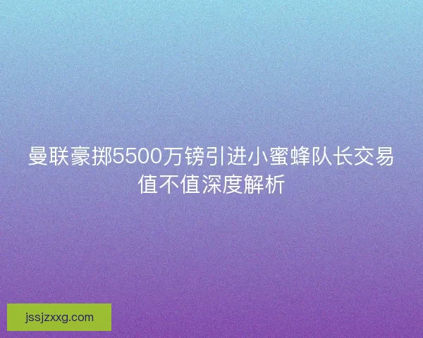 曼联豪掷5500万镑引进小蜜蜂队长交易值不值深度解析