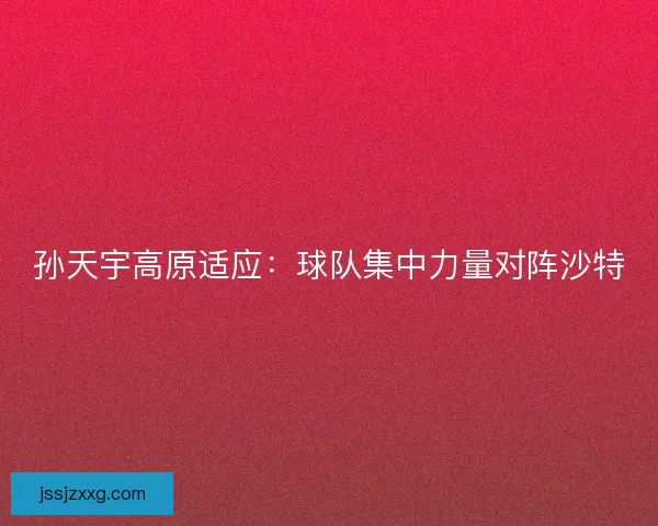 孙天宇高原适应：球队集中力量对阵沙特