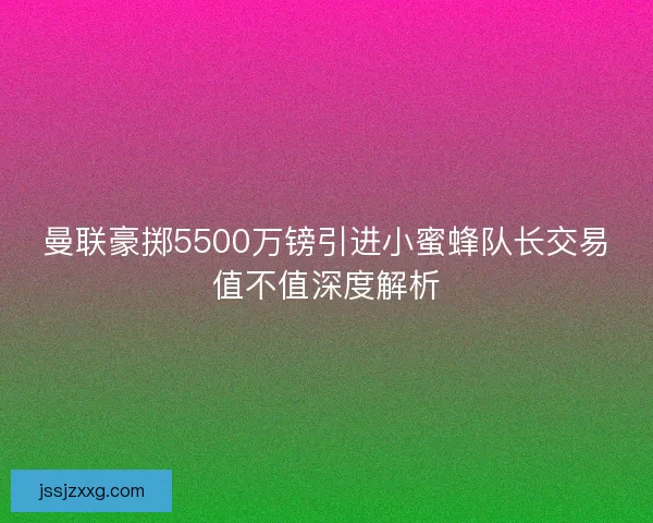 曼联豪掷5500万镑引进小蜜蜂队长交易值不值深度解析