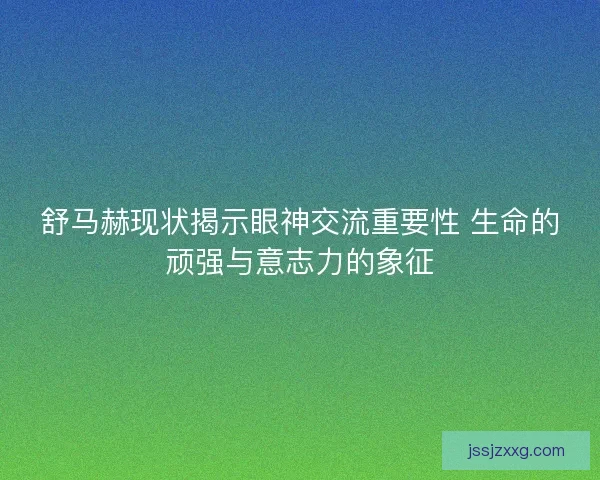 舒马赫现状揭示眼神交流重要性 生命的顽强与意志力的象征